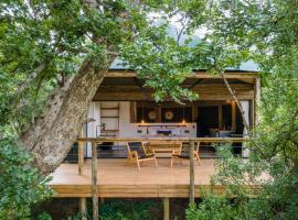 Sasi Africa Luxury Tented Bush Lodge，位于伯格维尔的木屋
