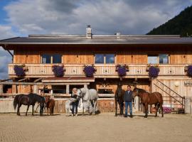 B&B Margit's Ranch Urlaub am Pferdehof，位于锡尔茨的酒店