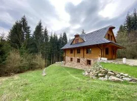 Wellness Drevenica Tále s biliardom