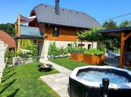 Holiday home in Trebnje Kranjska Krain 42897