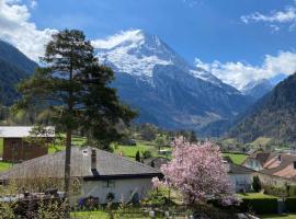 Amazing appartment in the middle of the nature，位于SilenenIntschi-Arnisee 8p Cable Car附近的酒店