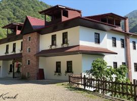Şelale Konak Çavuş'un Yeri，位于里泽的酒店
