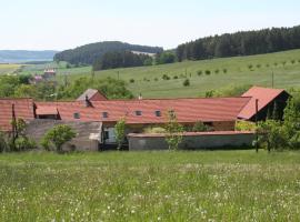 Podkroví v Jihočeském Statku，位于Nemějice的酒店