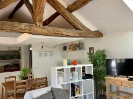 Appart chic et cosy/centre ville/ 20min de Paris
