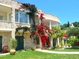 House Lemoni, Apartment B - Pelekas, Corfu