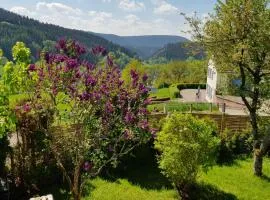 Große Wohnung mit Balkon Sulzbergblick in Alpirsbach