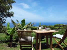 Faial Cottage B&B，位于Cedros的酒店