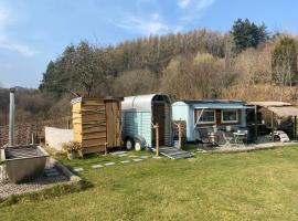 Belan Bluebell Woods Shepherds Hut，位于拉尼德洛伊斯的山林小屋