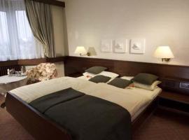 Hotel Klaiber Garni，位于黑欣根的酒店