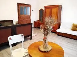 Family Apartman Szádelő - Zádiel