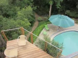 Pecan Tree Forest Studio A with Terrace