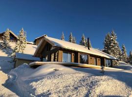 Modern New Large Cabin Ski in out Sjusjøen，位于Ringsaker的酒店