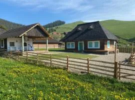 Hygge Loft Bucovina