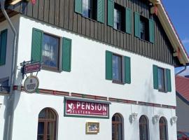 Pension Drei Elstern，位于施尔奇布罗肯山附近的酒店