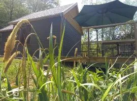 La cabane de Léon