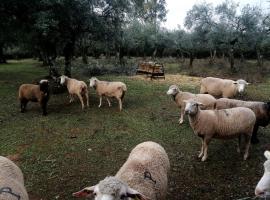 EL VENERO DE MOSTOLES，位于孔斯坦蒂纳的公寓