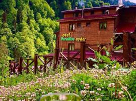 Ayder Paradise Otel，位于艾德亚耶拉西的酒店