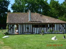LA GRANDE JAOUGUE