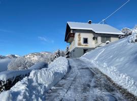 Haus Nocky Mountains，位于拉登泰因的酒店