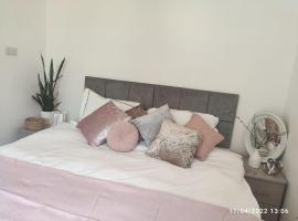 Modern Stylish 3beds house near Tube with free Parking，位于伦敦的酒店