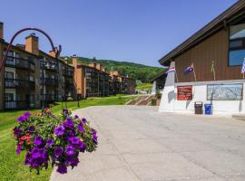 Okemo Mountain Lodge B203，位于拉德洛的酒店