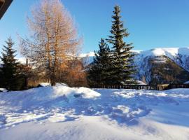 Residence Edelweiss，位于贝尔瓦尔德Furggulti Ski Lift附近的酒店