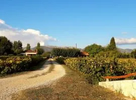 Authentic Country House in Zakynthos