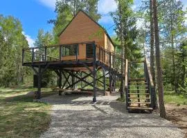 Zdalnie z Lasu - Siedlisko w Puszczy Białowieskiej