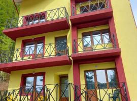 VILA IOANA，位于Chinteni的酒店