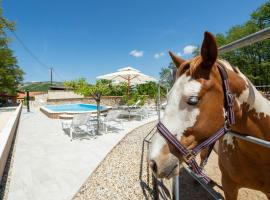Holiday home with swimming pool, donkeys and horses，位于Vrlika的酒店