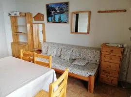 2 pièces cabine, pied des pistes, 5 pers, balcon - FR-1-557-69