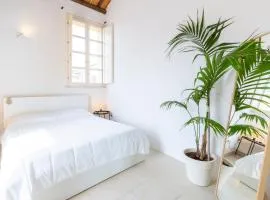 Penthouse with Terrace in historic centre