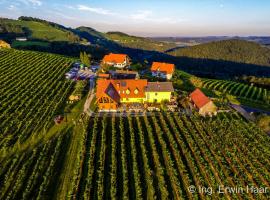 Weingut Reiterer，位于绍萨尔地区基策克的酒店