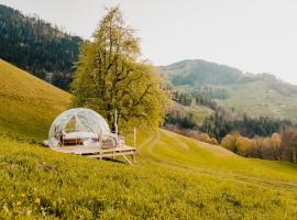 Bubble-Suite in Graubünden，位于Versam的豪华帐篷