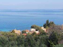 Olga's Apartments，位于Ágios Dimítrios的酒店