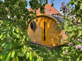 Gite Au sauna de l’Aubach，位于Scherwiller的度假屋