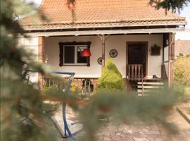 Ferienhaus Leo，位于Boblitz的酒店