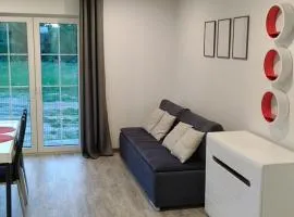 Apartamenty całoroczne Ślesin