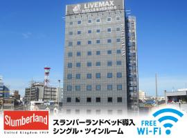 HOTEL LiVEMAX Okazaki，位于冈崎市冈崎市东园动物园附近的酒店