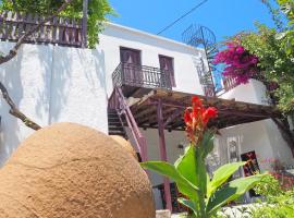 Cycladic House in Skiros，位于斯基罗斯岛的公寓