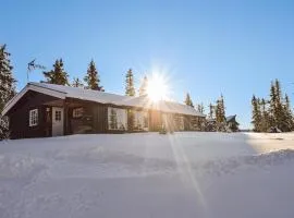 Lovely Home In Sjusjøen With Kitchen