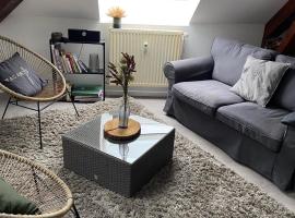 COSY APPART，位于孔特雷克塞维尔的酒店
