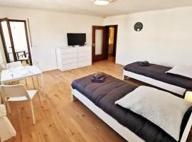 FR13 - Modernes 1-Zimmer-Apartment mit Balkon in Rodgau