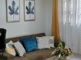 APARTAMENTOS CASCO HISTORICO COMAYAGUA