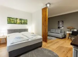 Cozy Studio Apartment Located in Vienna's Vibrant City Center