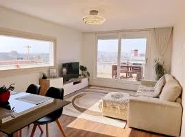 Unique Penthouse Porto near Livaria Lello - 40m2 Terrace and Free Parking