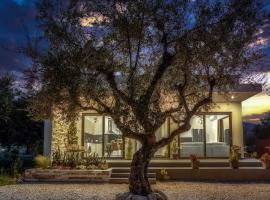 ALFI'S HOUSE LITHAKIA ZAKYNTHOS，位于利萨基亚的公寓