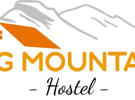 Big Mountain Hostel，位于瓦拉斯的酒店