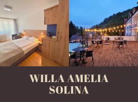 Willa Amelia，位于索利纳的酒店