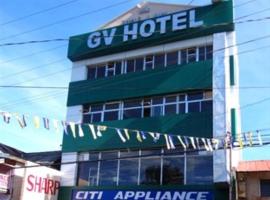 GV海军酒店 ，位于Biliran的酒店